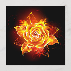 Blooming Fire Rose Program