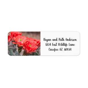 Blooming Hedgehog cactus Label
