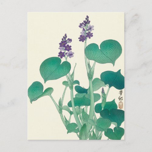 Blooming Hosta Painting by Ohara Koson Postcard