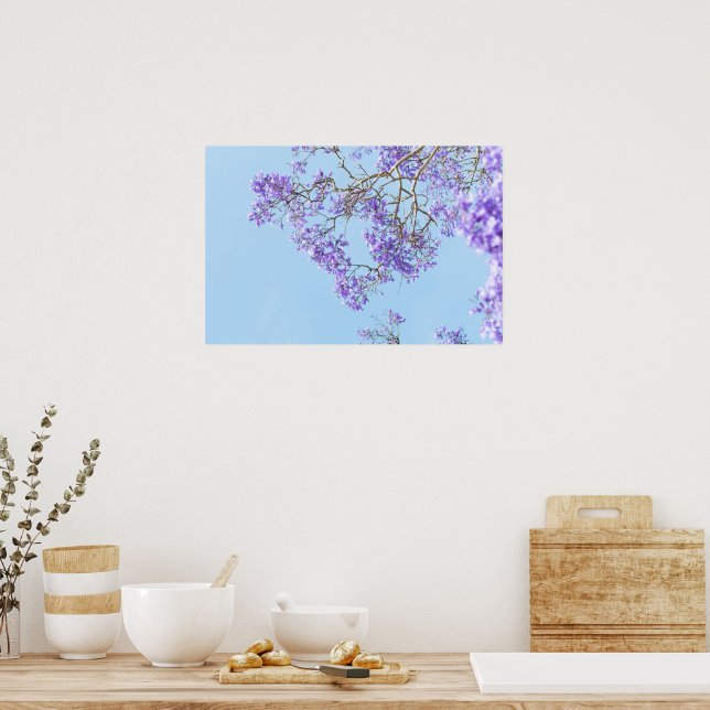 Blooming Jacaranda Tree Branches Poster (Kitchen)