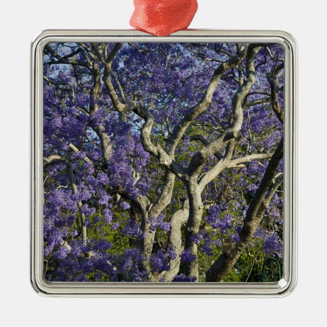 Blooming Jacaranda Trees in New Farm Park, 2 Metal Ornament (Front)
