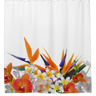 Plumeria Shower Curtains Zazzle