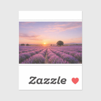 Blooming Lavender Field at Golden Sunset Provence Sticker