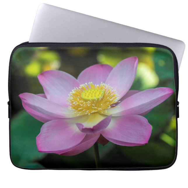 Blooming lotus flower, Indonesia Laptop Sleeve (Front)