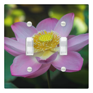 Blooming lotus flower, Indonesia Light Switch Cover