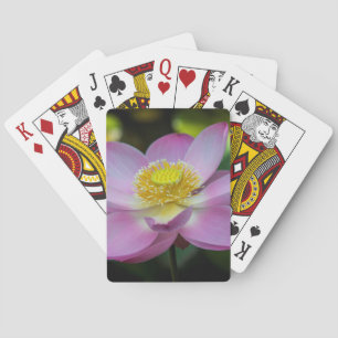 Blooming lotus flower, Indonesia Poker Cards