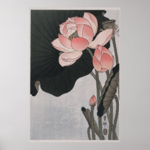 Blooming lotus flowers (1920 - 1930) poster