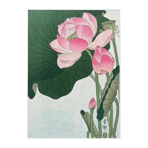 Blooming Lotus Flowers by Ohara Koson Acrylic Print