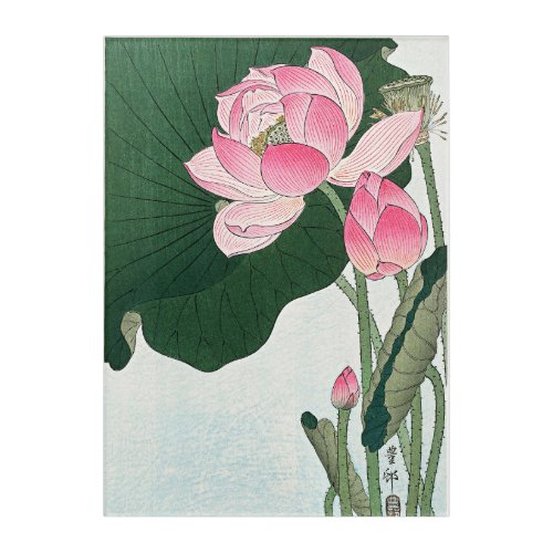 Blooming Lotus Flowers by Ohara Koson Acrylic Print