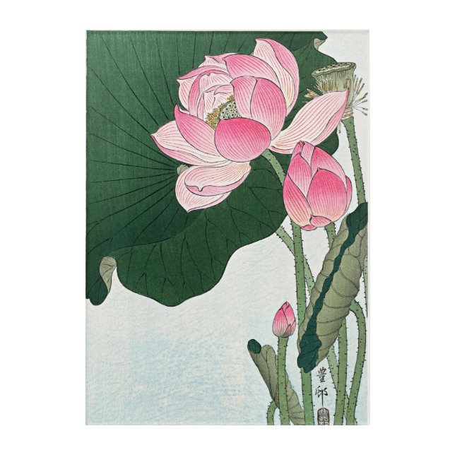 Blooming Lotus Flowers by Ohara Koson Acrylic Print (Front)