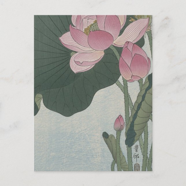Blooming Lotus Flowers by Ohara Koson Postcard (Front)