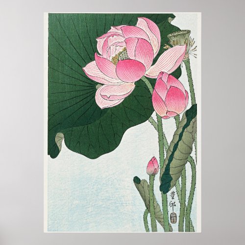 Blooming Lotus Flowers by Ohara Koson Poster