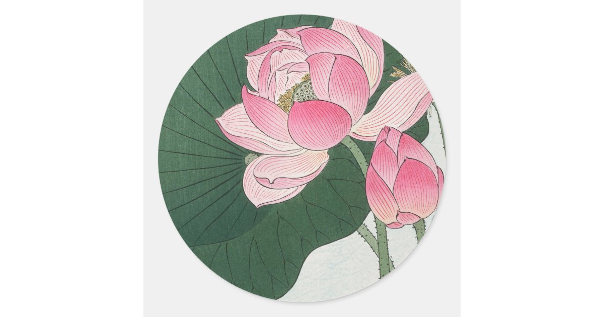 Blooming lotus flowers classic round sticker | Zazzle