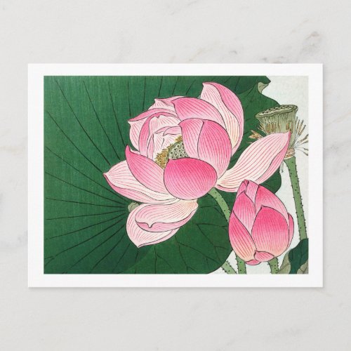 Blooming lotus flowers _ Ohara Koson _ enlarged Postcard