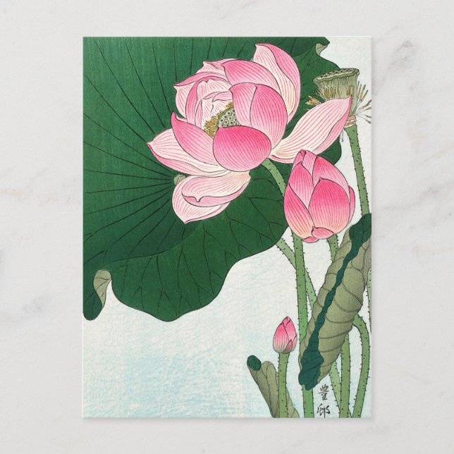 Blooming lotus flowers - Ohara Koson - VintageArt Postcard (Front)