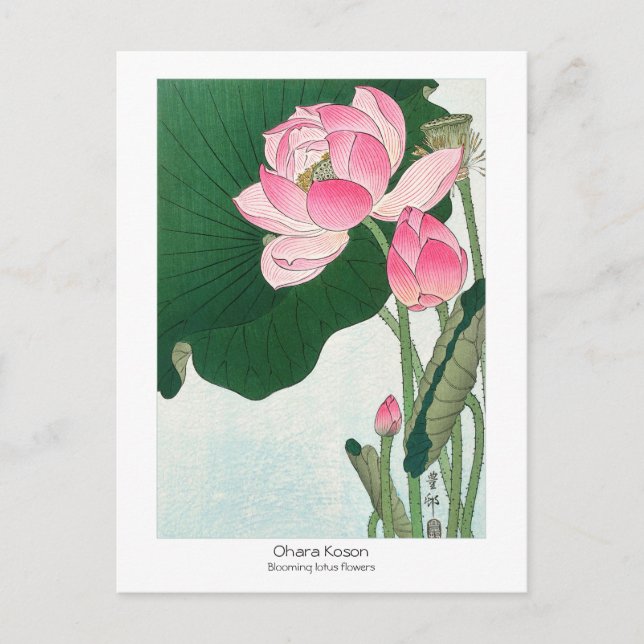 Blooming lotus flowers - Ohara Koson - VintageArt Postcard (Front)