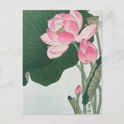 Blooming Lotus Flowers Painting by Ohara Koson Postcard