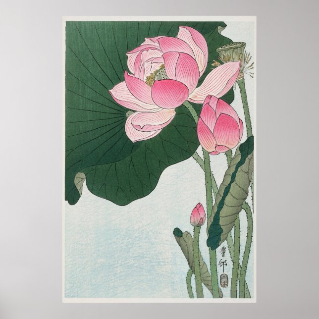 Blooming Lotus Poster (Front)