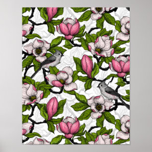 Blooming magnolia and titmouse bird poster