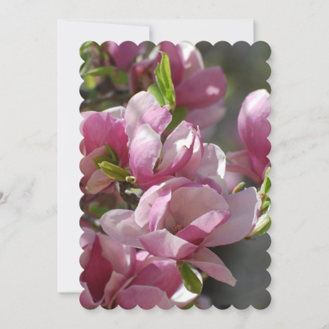 Blooming Magnolia Invitation (Front)