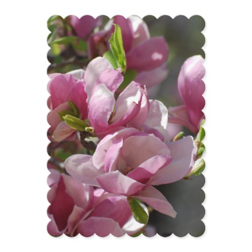 Blooming Magnolia Invitation