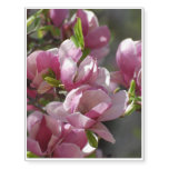 Blooming Magnolia Temporary Tattoos