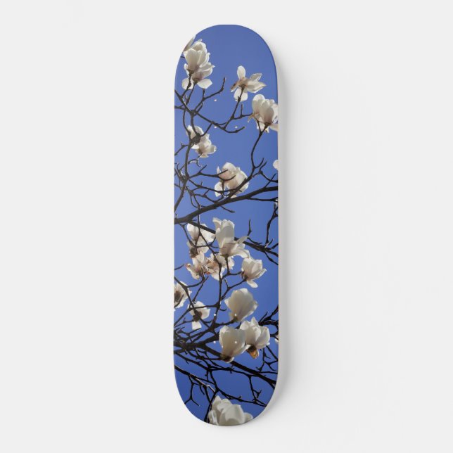 Blooming Magnolias Skateboard (Front)