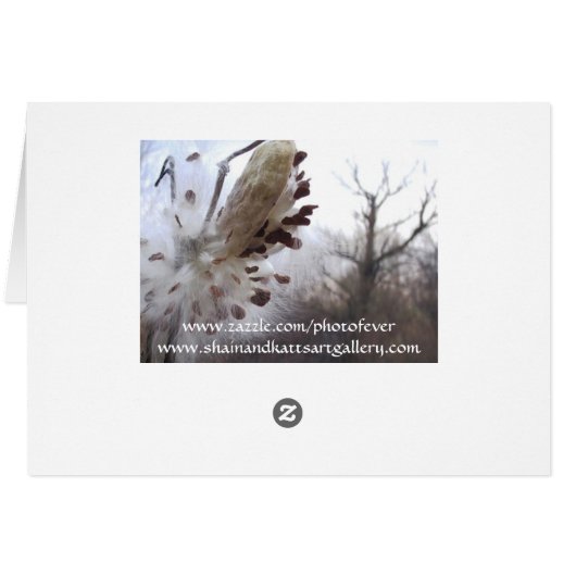 Blooming Milkweed Pod Card (Back Horizontal)