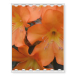 Blooming Orange Rhododendron Temporary Tattoos