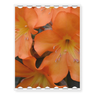 Blooming Orange Rhododendron Temporary Tattoos