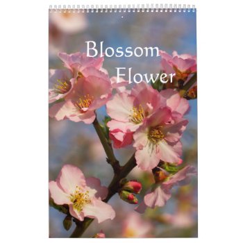 Blooming Peach And Cherry Calendar 2024 by Stangrit at Zazzle