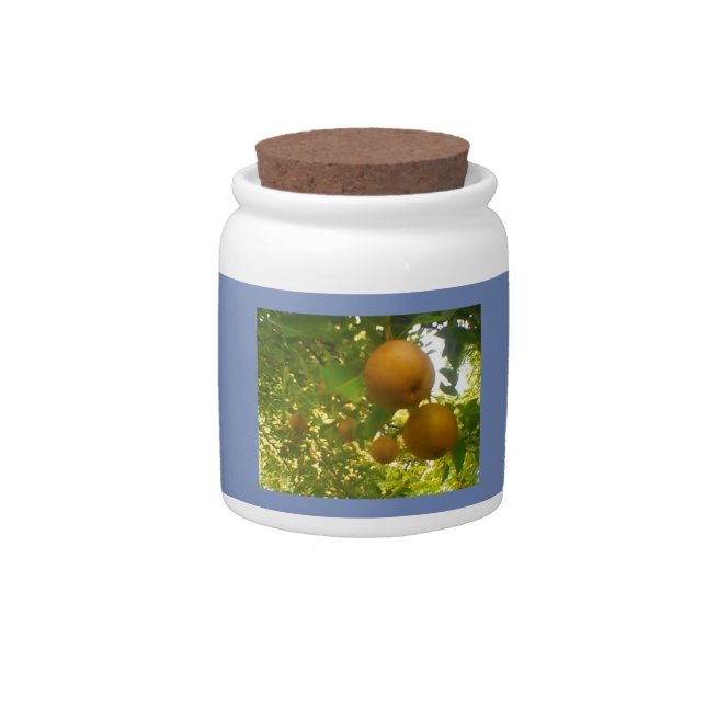 Blooming Pears Candy Jar (Front)