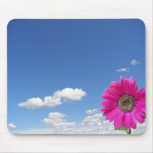 Blooming Pink Daisy Mouse Pad