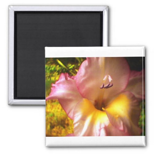 Blooming Pink Flower Magnet