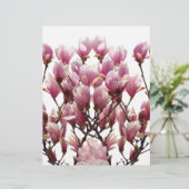 Blooming Pink Magnolias Spring Flower (Standing Front)