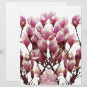 Blooming Pink Magnolias Spring Flower (Front/Back)