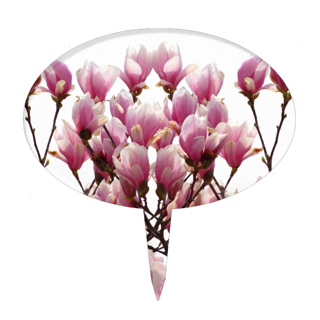 Blooming Pink Magnolias Spring Flower Cake Topper (Front)