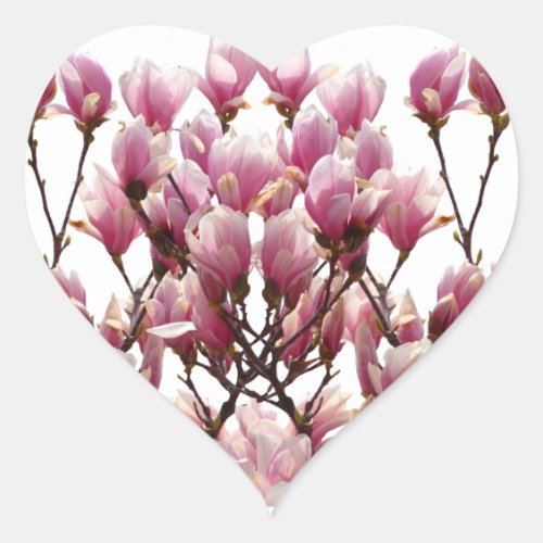 Blooming Pink Magnolias Spring Flower Heart Sticker