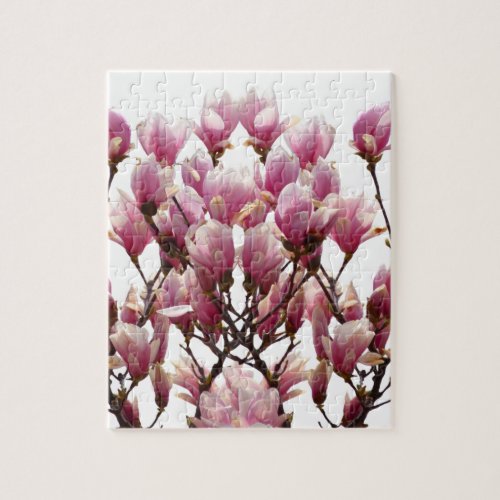 Blooming Pink Magnolias Spring Flower Jigsaw Puzzle