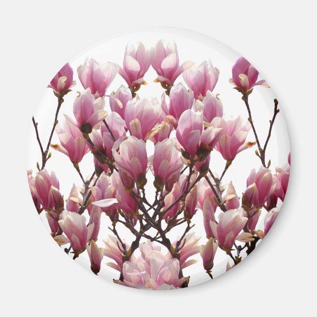 Blooming Pink Magnolias Spring Flower Magnet (Front)