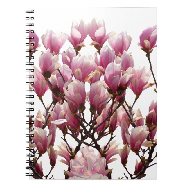 Blooming Pink Magnolias Spring Flower Notebook (Front)