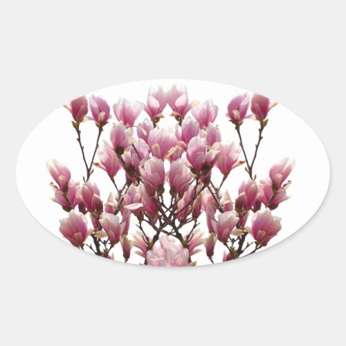 Blooming Pink Magnolias Spring Flower Oval Sticker