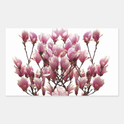 Blooming Pink Magnolias Spring Flower Rectangular Sticker