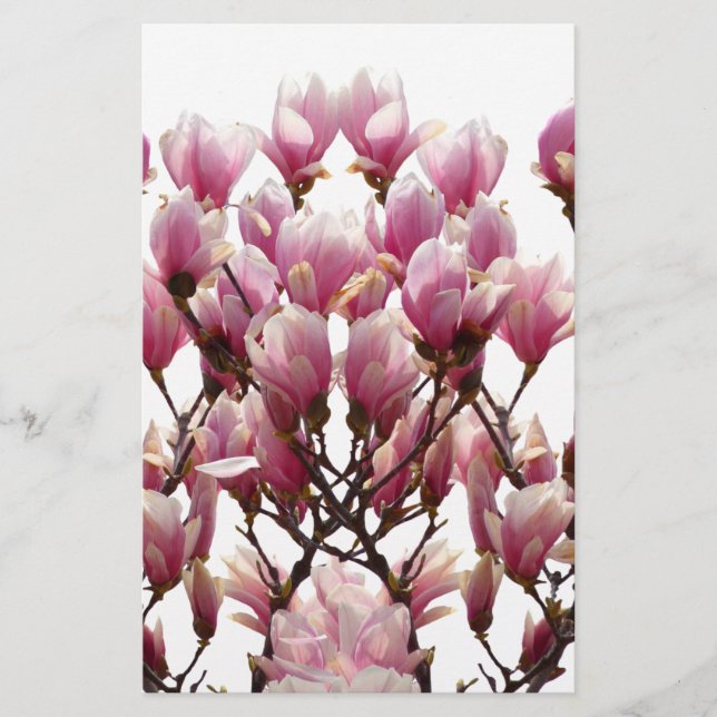 Blooming Pink Magnolias Spring Flower Stationery (Front)
