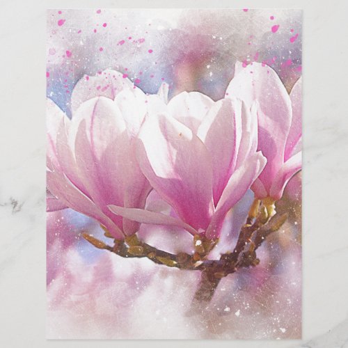 Blooming Pink Purple Magnolia _ Spring Flower