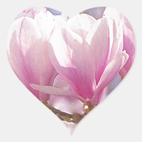 Blooming Pink Purple Magnolia _ Spring Flower Heart Sticker