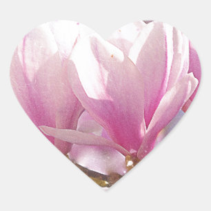 Blooming Pink Purple Magnolia - Spring Flower Heart Sticker