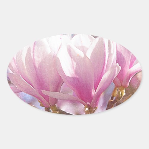 Blooming Pink Purple Magnolia _ Spring Flower Oval Sticker