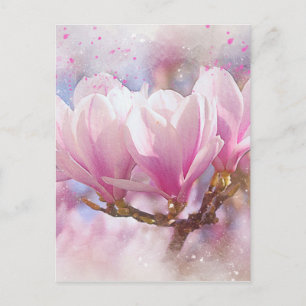 Blooming Pink Purple Magnolia - Spring Flower Postcard
