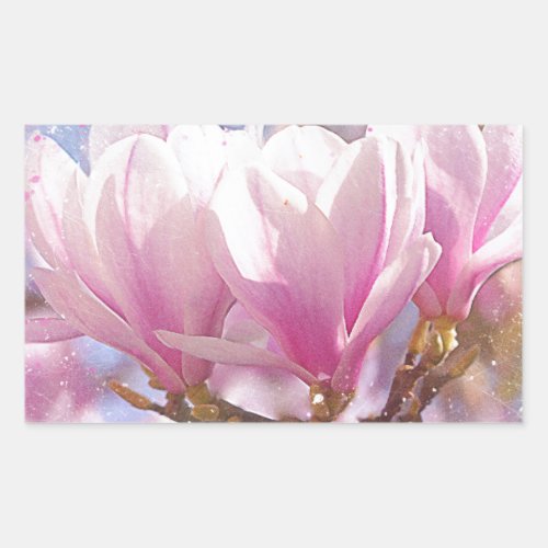 Blooming Pink Purple Magnolia _ Spring Flower Rectangular Sticker